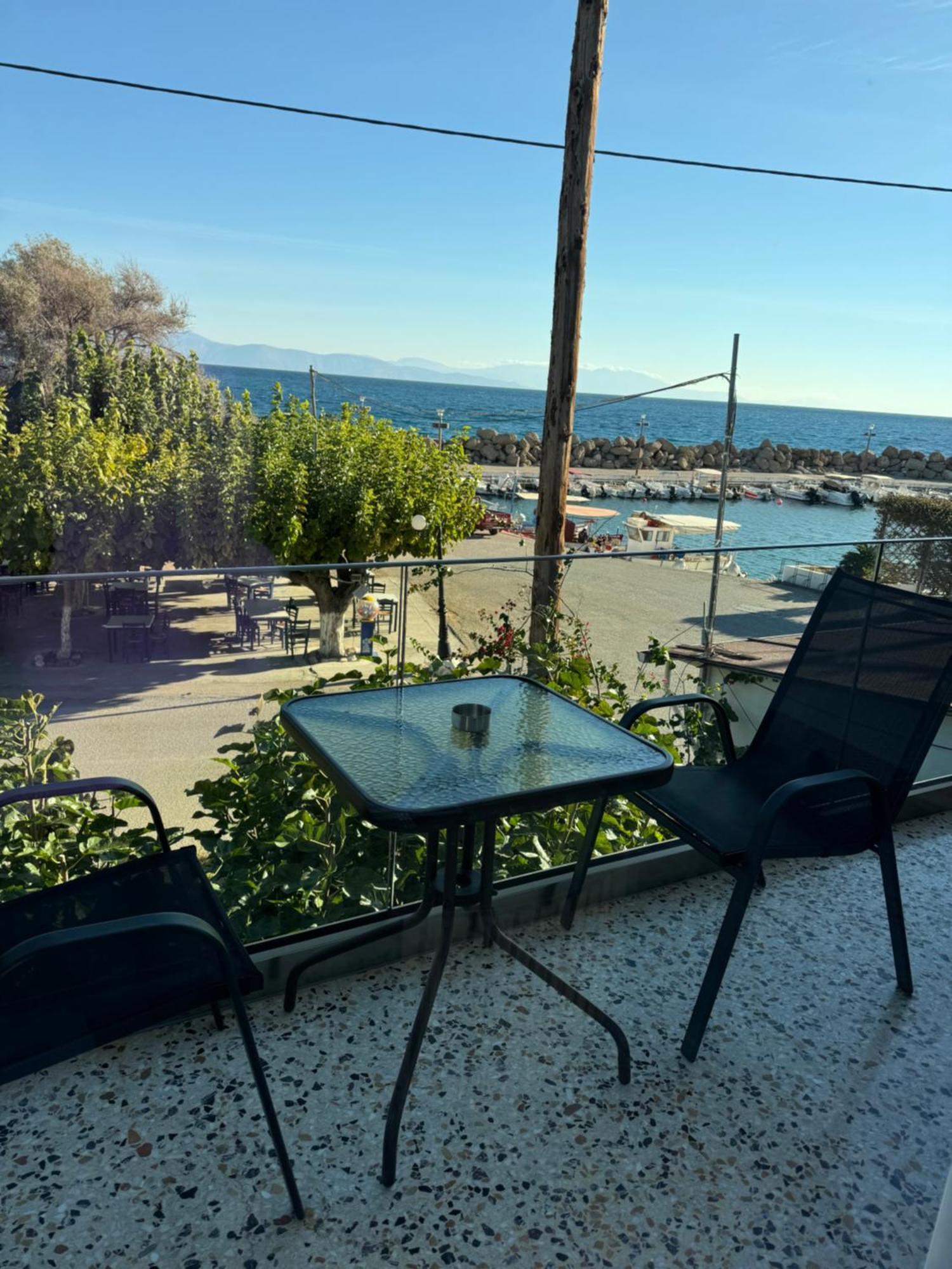 Apartmán Artemis *